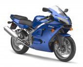 2008 Kawasaki ZZR600 photo